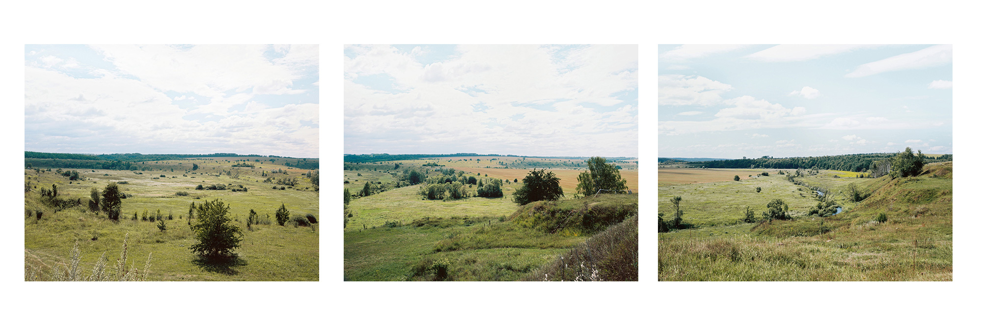 Blick auf Beshin Lug (Beshin-Wiese), von Norden