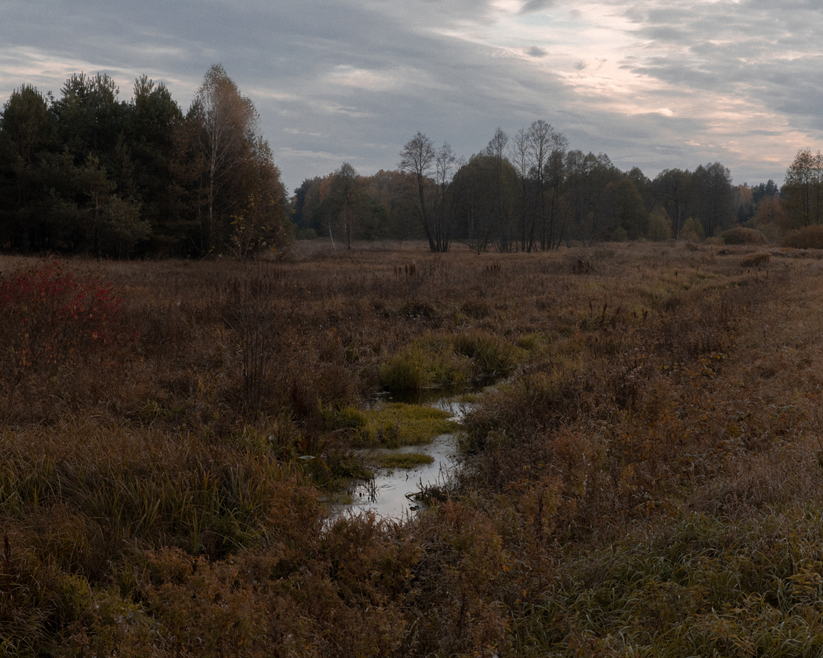 12.10.2021. Подляское воеводство, Польша. Типичный подляский пейзаж  / © Енджей Новицки