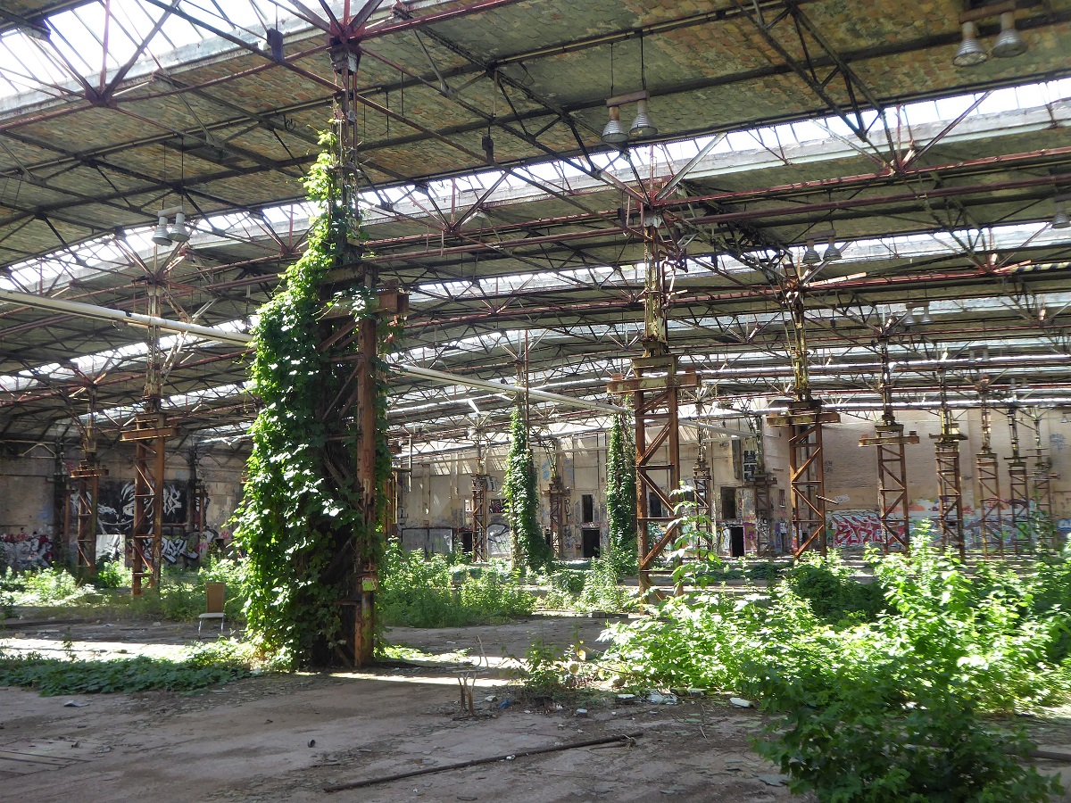 Возвращение природы – Кабельный завод, Берлин-Кeпеник. 1,6 тысяч сотрудников до 1994 года © Андреас Метц