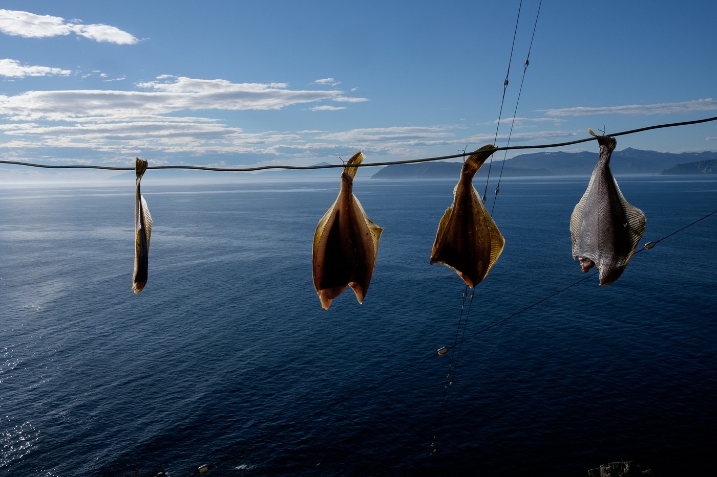 Frisch gefangene Plattfische dörren in der Sonne. Das Leben am Leuchtturm läuft weitgehend autonom – einmal jährlich werden Lebensmittel über den Seeweg geliefert