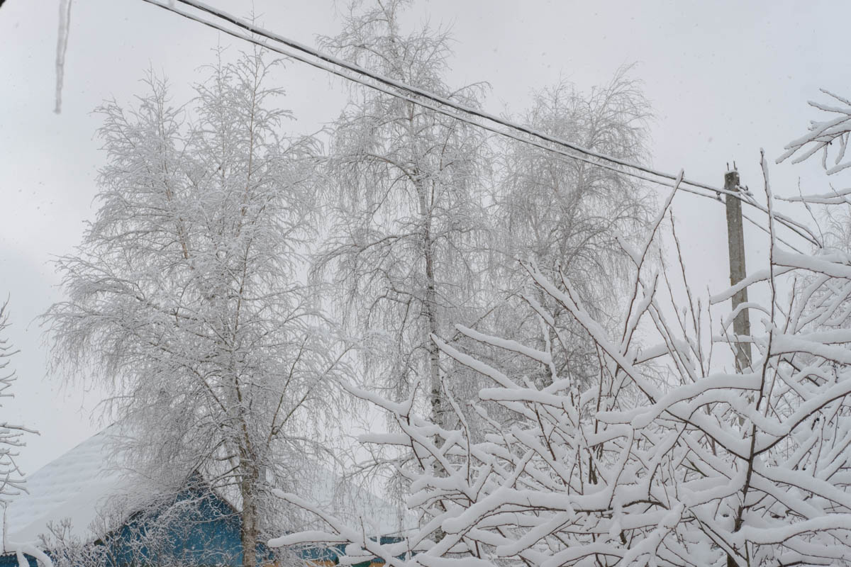 Вид со двора дома, где живет мама. Малостовка, январь 2021 года /  © Татьяна Ткачева