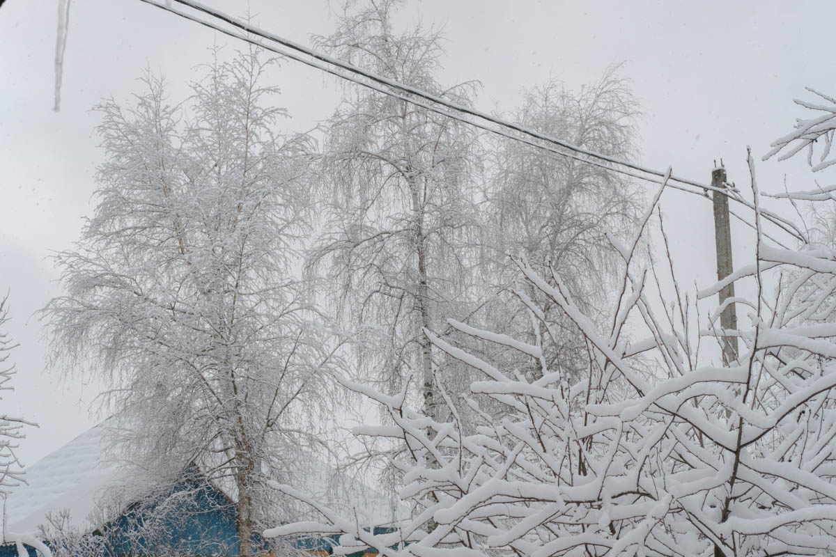 Blick aus dem Hofe des Hauses, in dem meine Mama wohnt, Malostwoka, Januar 2021 / Foto © Tatsiana Tkachova