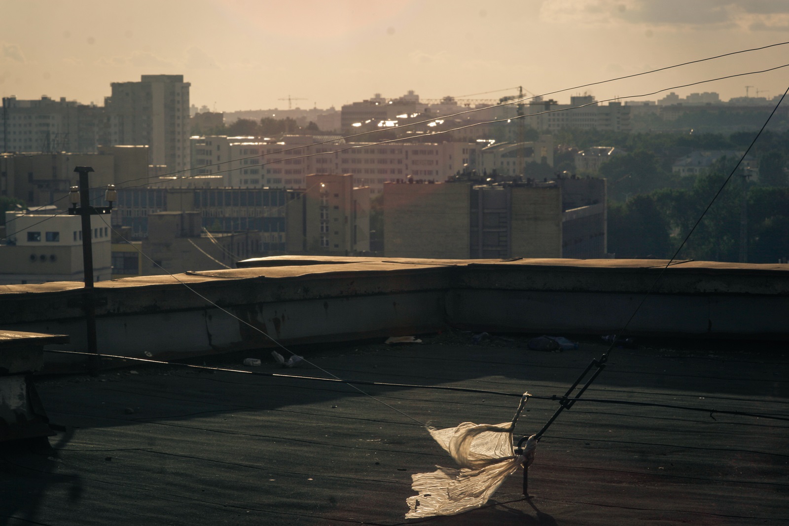 жаркое лето в Минске / © Анна Мацкевич