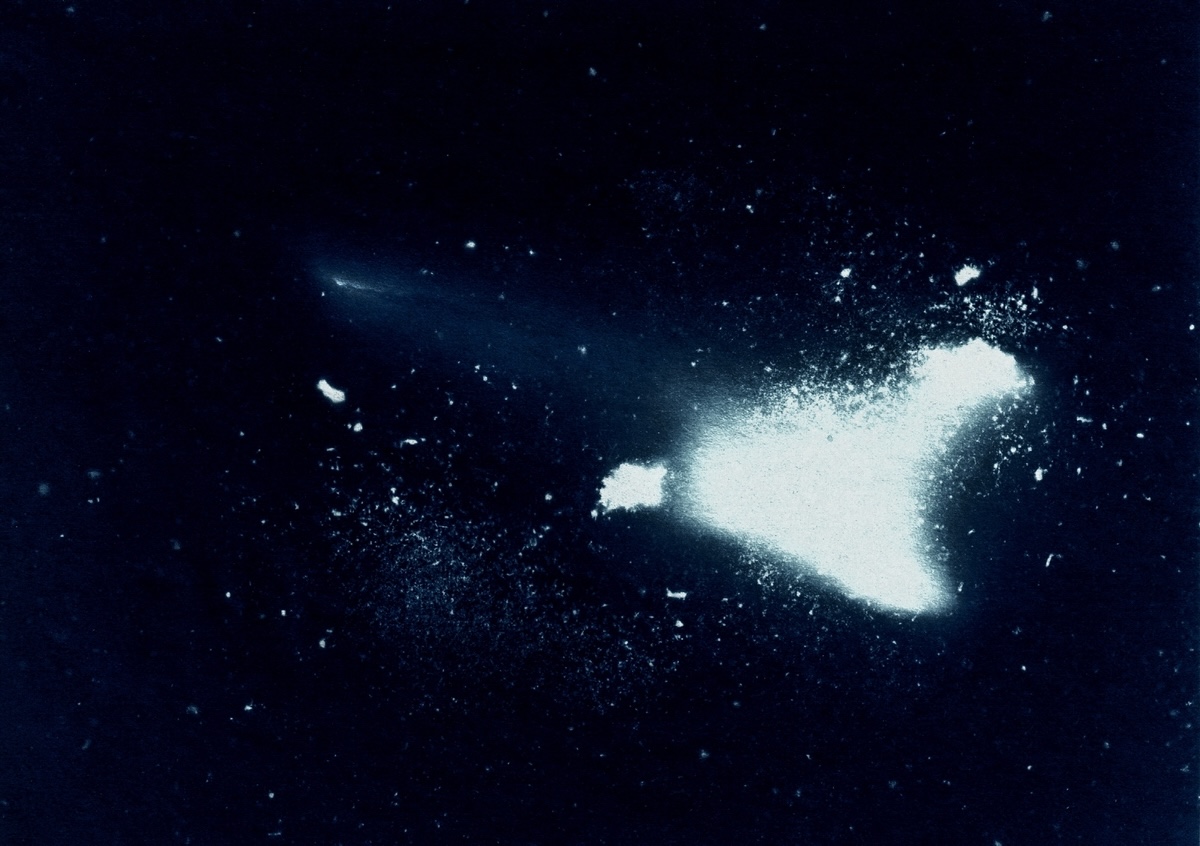 Nicht identifizierter Knochen. Gefunden in der Nähe einer künstlichen Aufschüttung im Wald von Blagowschtschina. Fotogramm, Minsk 2017 / © Foto Maxim Sarychau