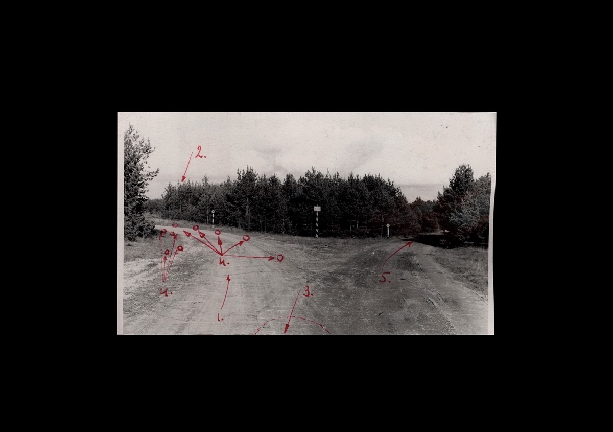 Foto vom Wald von Blagowschtschina, aufgenommen von der Staatlichen Sonderkommission, die die Vernichtungsstätte seit dem 14. Juli 1944 untersuchte (zwei Wochen nach der Befreiung von Belarus durch die Rote Armee). Markierungen und Beschriftungen wurden von der Kommission gemacht. Lettisches Nationalarchiv, Minsk 1944 / © Foto Maxim Sarychau