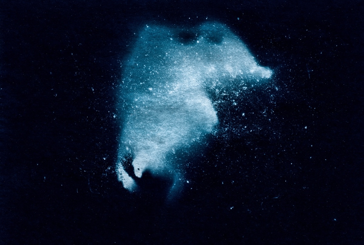 Hüftknochen. Gefunden in der Nähe einer künstlichen Böschung im Wald von Blagowschtschina. Fotogramm, Minsk 2017 / © Foto Maxim Sarychau