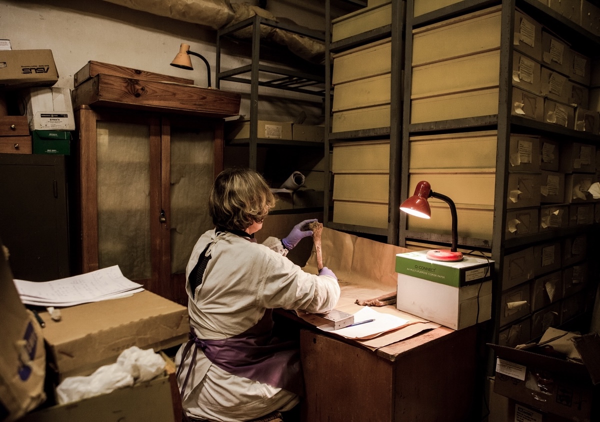 Die Anthropologin Olga Emeljantchik während ihrer Arbeit im Lagerraum der Akademie der Wissenschaften von Belarus beim Identifizieren menschlicher Überreste, gefunden in Maly Trostenez, Minsk 2018 / © Foto Maxim Sarychau